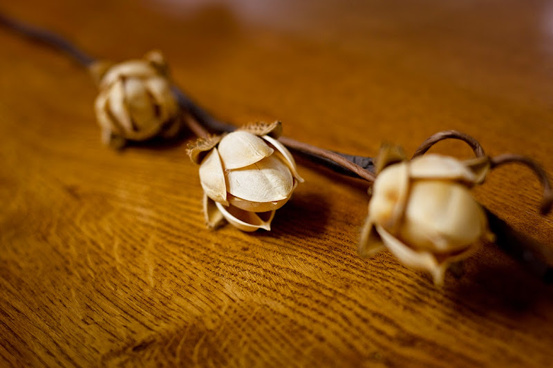 Funeraria-Vascongada-Oiartzun-3