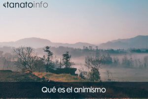 ¿Qué es el animismo?