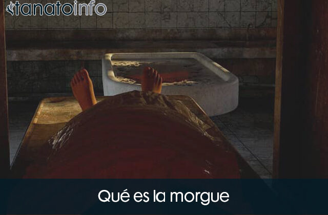 morgue que es
