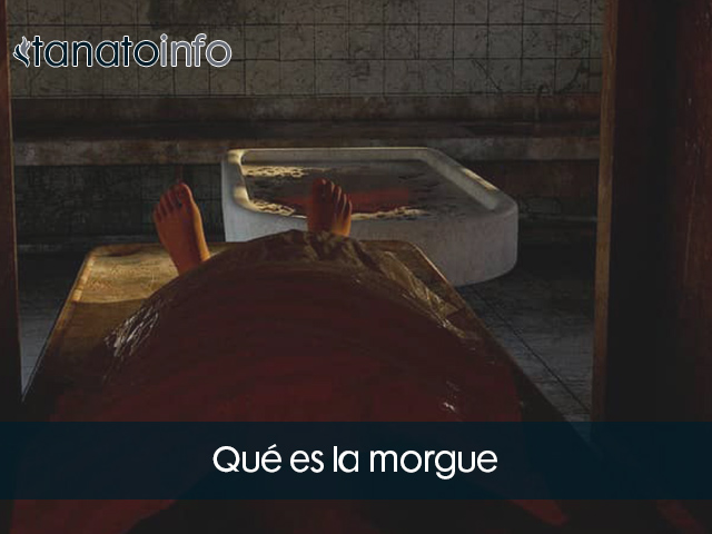 morgue que es