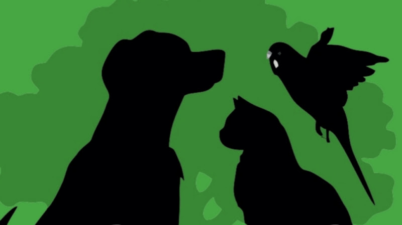 Ibad-Crematorio-De-Animales-3