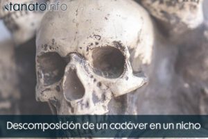 Descomposición de un cadáver en un nicho