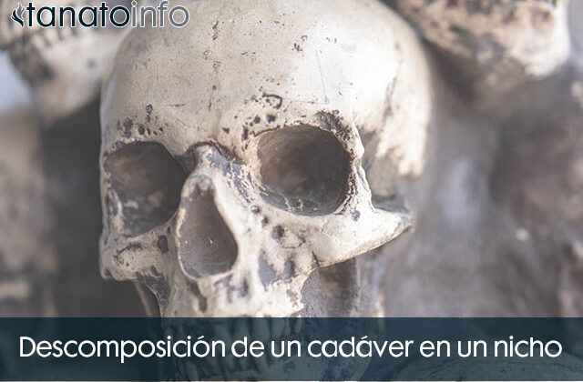 Descomposición de un cadáver en un nicho