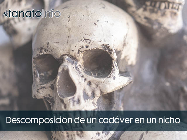 Descomposición de un cadáver en un nicho