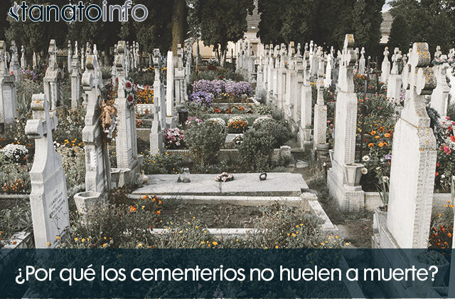 Por que los cementerios no huelen a muerte