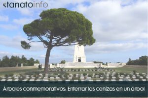 Árboles conmemorativos: Enterrar las cenizas en un árbol