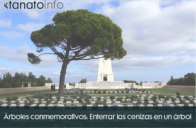 arboles conmemorativos Enterrar las cenizas en un arbol