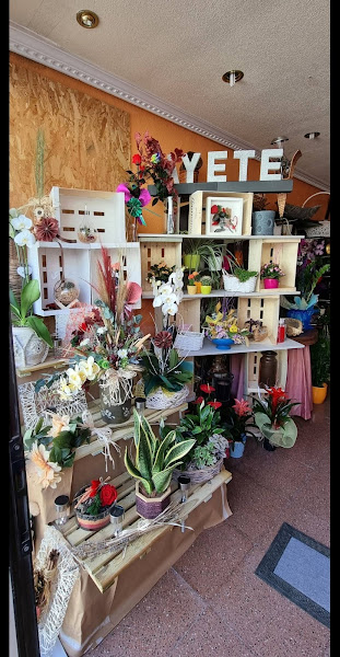 AYETE-FLORISTERIA-CAPARROSO-servicio-24horas-incluidos-festivos-2