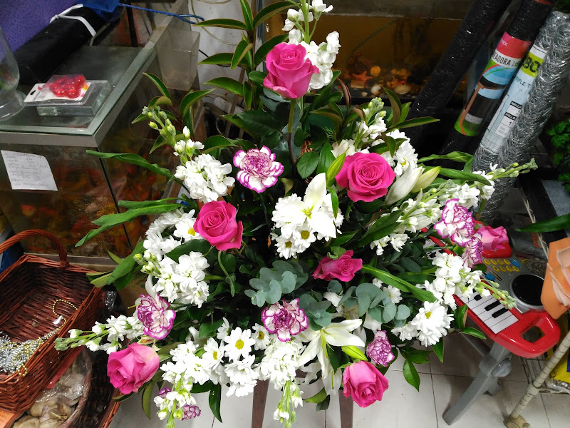 Amelia Floristería