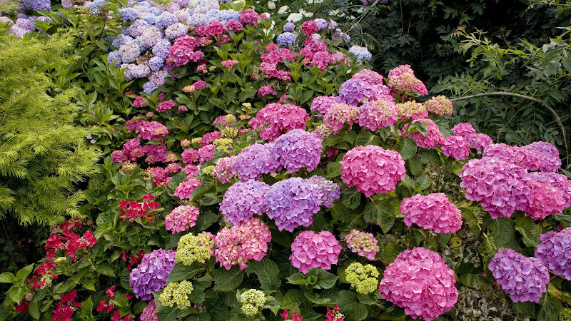 Azalea-Boutique-De-La-Flor-2