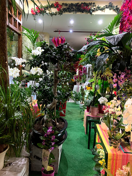 Azalea-Boutique-De-La-Flor-3Azalea-Boutique-De-La-Flor-3