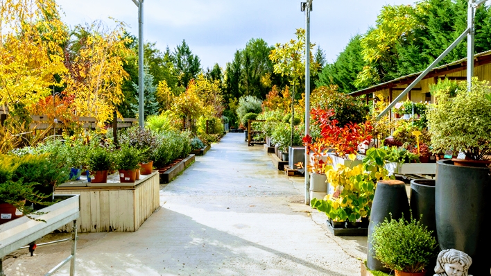 BERROA-GARDEN-2