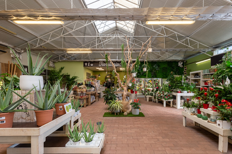 BERROA-GARDEN-4