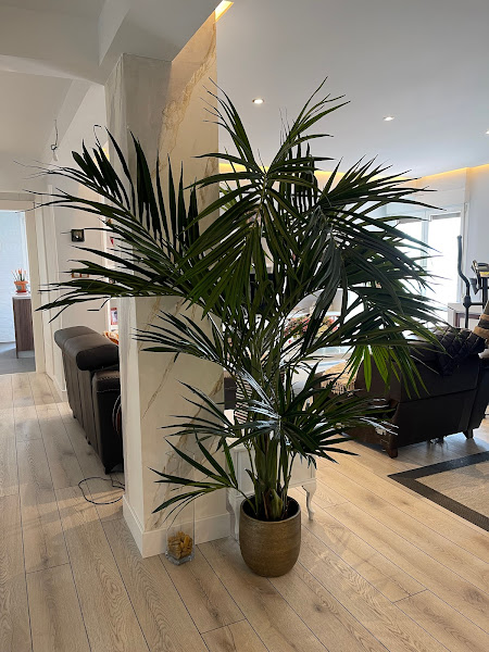 Bella-Eugenia-Decoracion-4