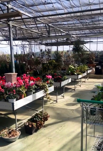 Centro-De-Jardineria-Mandragora-S-C-2