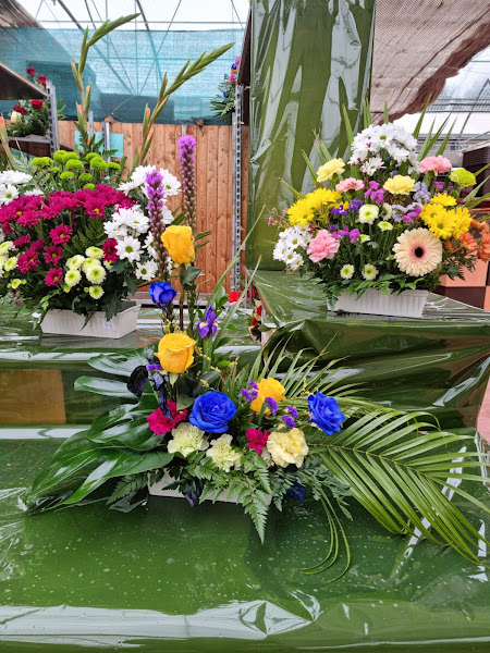Centro-de-Jardineria-Gondra-4