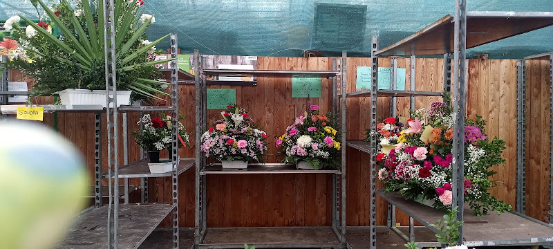 Centro de Jardinería Gondra