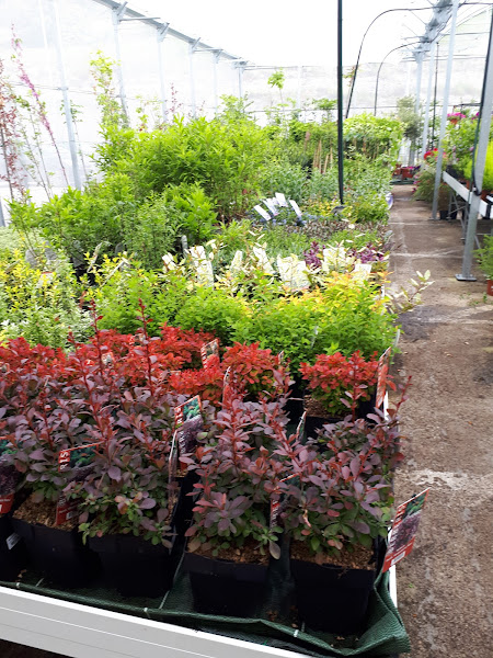 Centro-de-Jardineria-Gorbeia-4