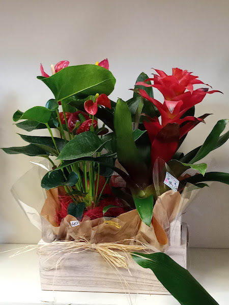 El-taller-de-las-flores-3