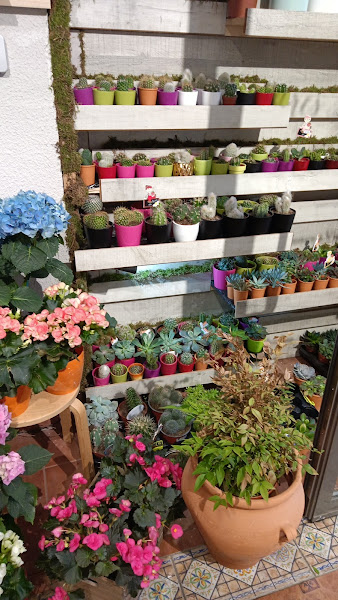 FLORES ARANTZA Getxo