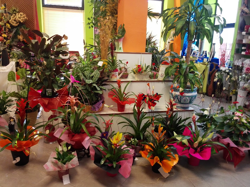 Flor-Center-Floristas-3