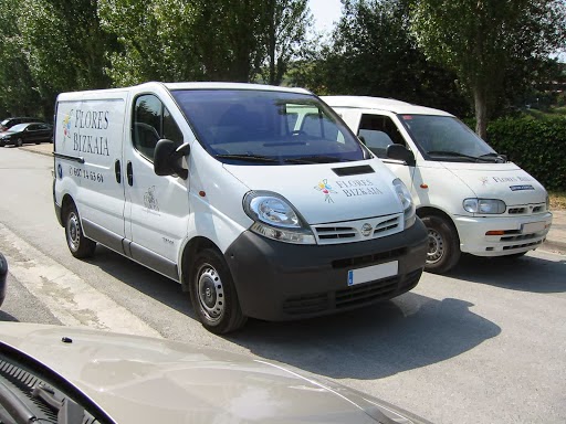 Flores-Bizkaia-4
