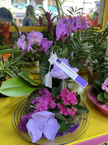 Flores-Emocionak-2