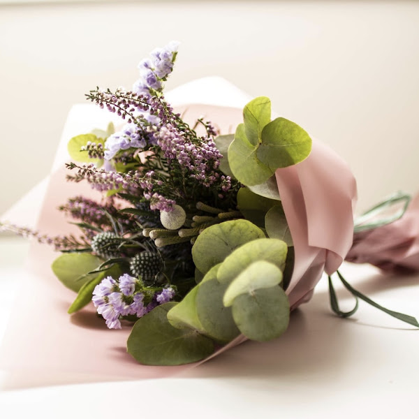 Flores-Sonia-2