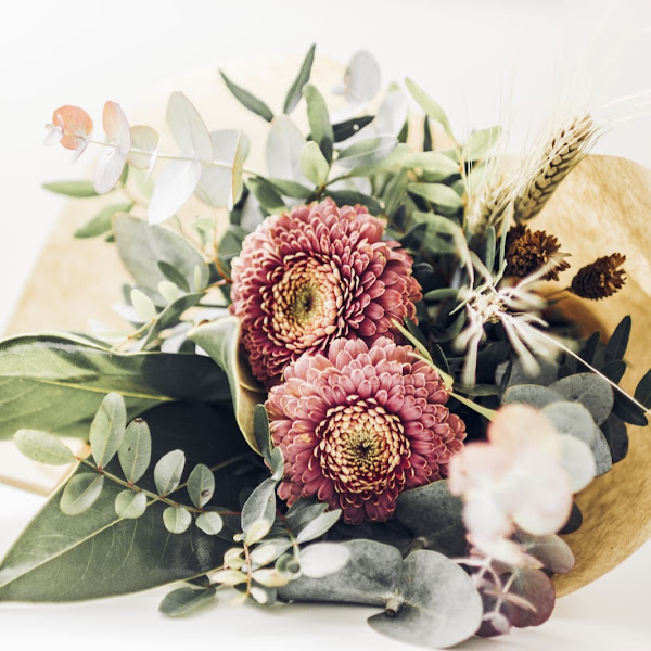 Flores-Sonia-4