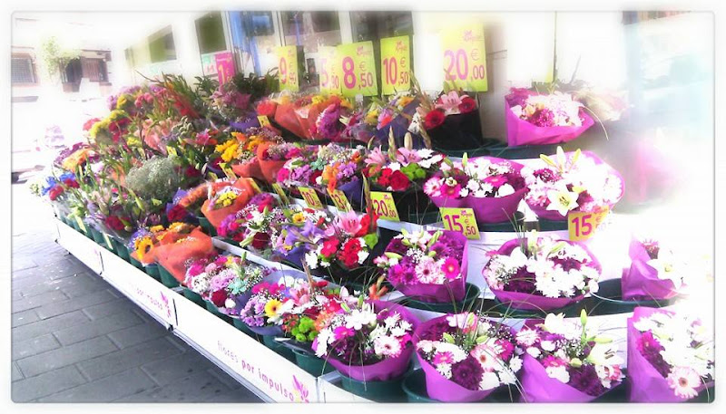 Flores-por-Impulso-2