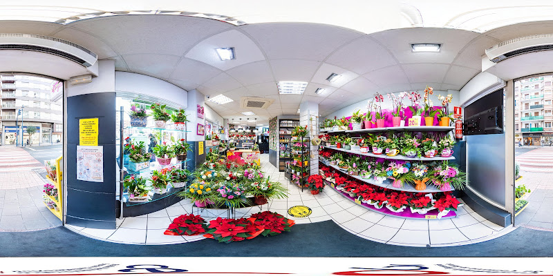 Flores-por-Impulso-3