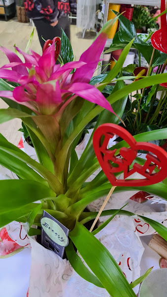 Flores-y-mas-Mila-4