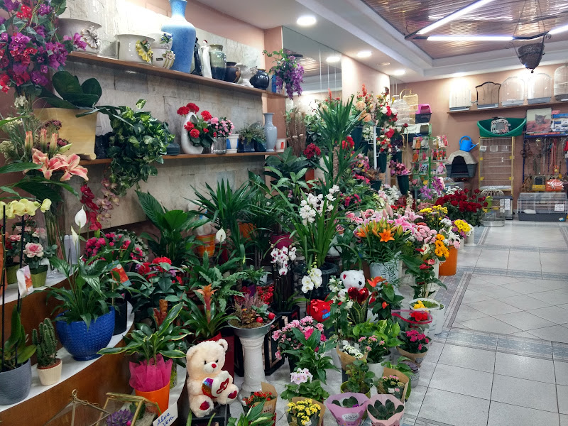 Florifauna-2