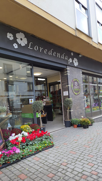 Floristería 13 Udaberri Loredenda