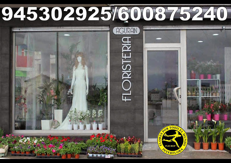 Floristería AGURAIN