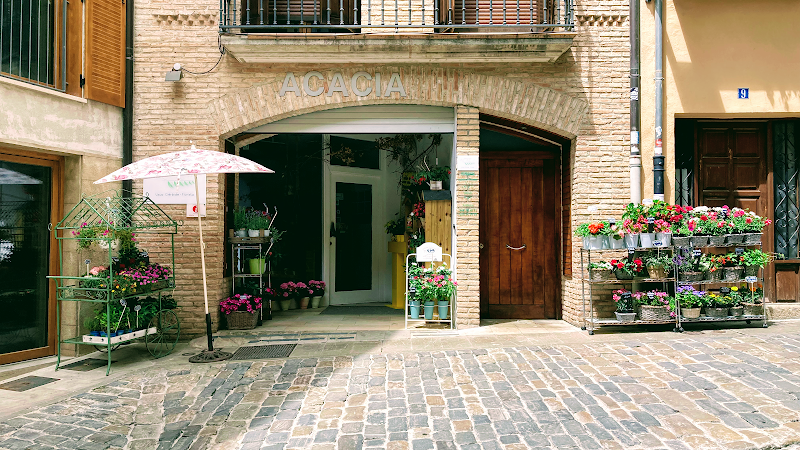 Floristería Acacia. Espacio de Creación