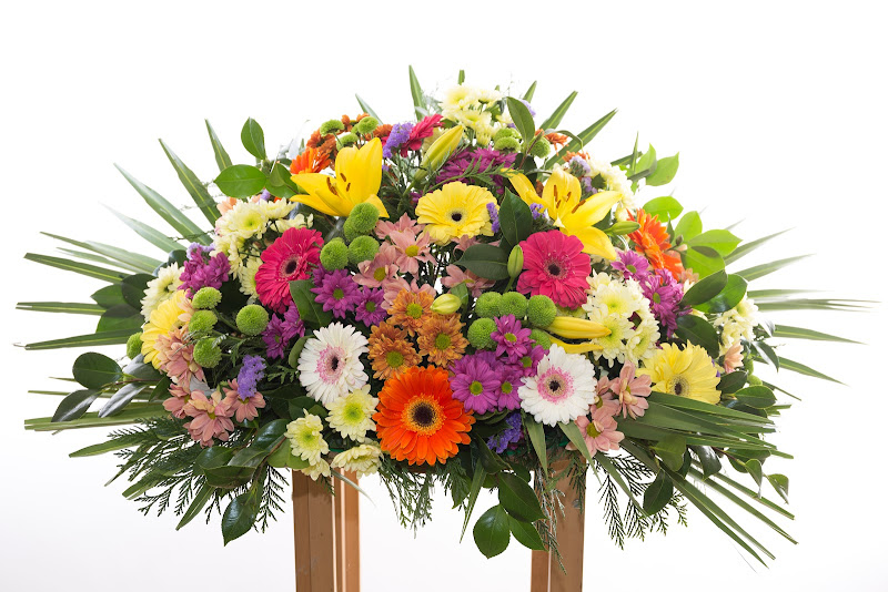 Floristeria-Amazonia-3