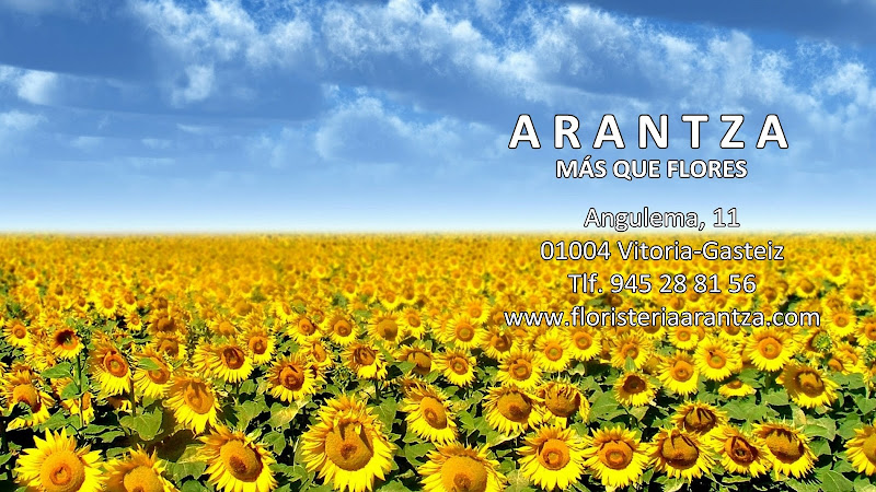 Floristeria-Arantza-2