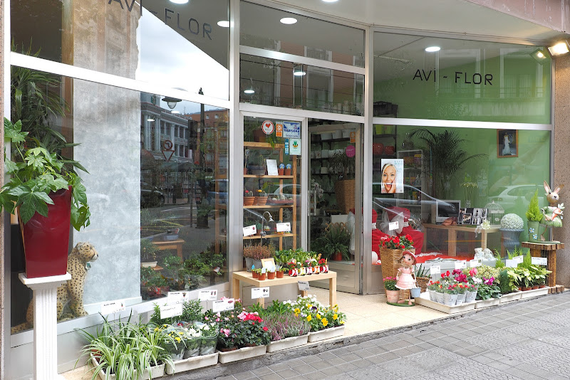 Floristería Avi-flor