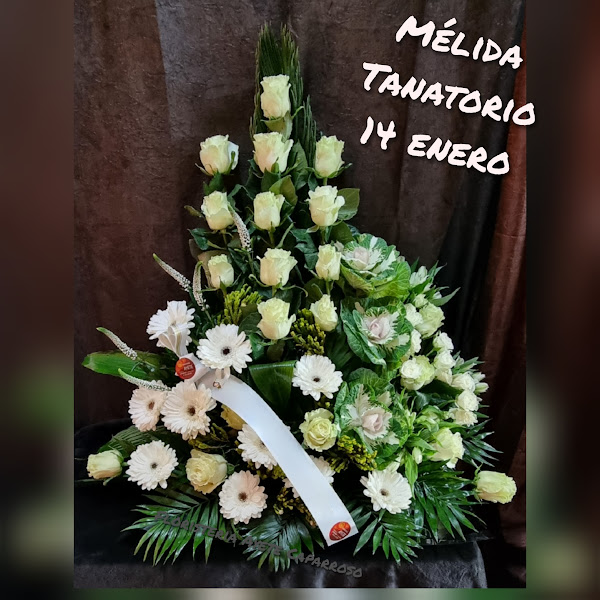 Floristería Ayete Carcastillo Caparroso