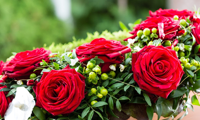 Floristeria Bediflor