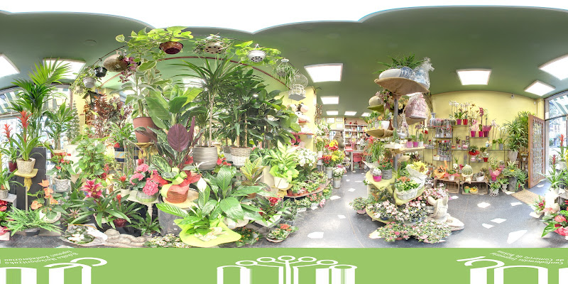 Floristeria-Bilbao-Gandarias-Florbilbaocom-2