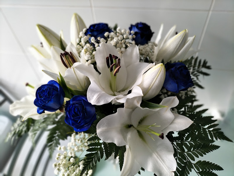 Floristeria-Bubur-2