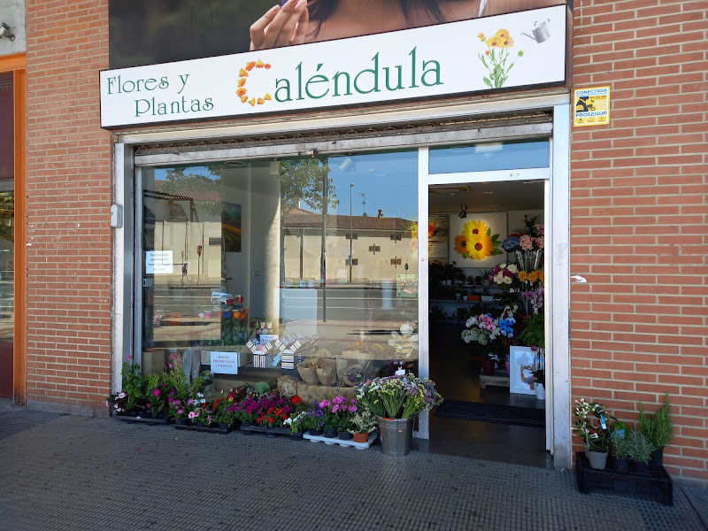 Floristería Calendula
