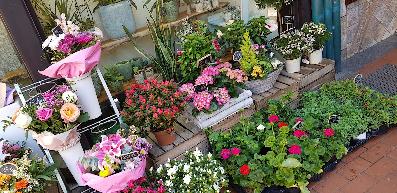 Floristeria-Eden-4