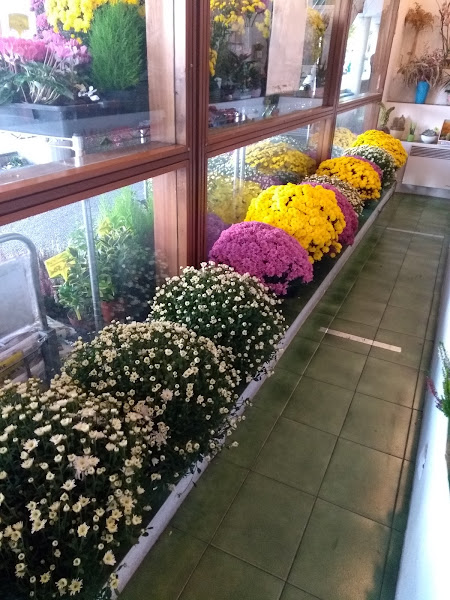 Floristeria-El-Jardin-2