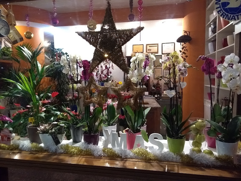 Floristeria-El-Jardin-3