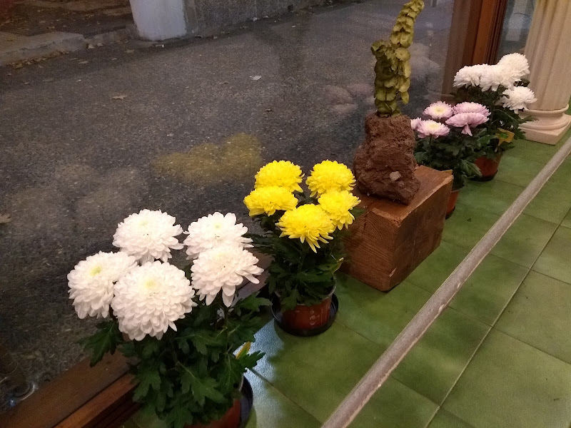 Floristeria-El-Jardin-4