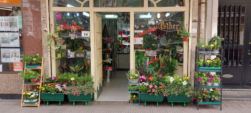 Floristeria Esther Begoña Aguirregabiria