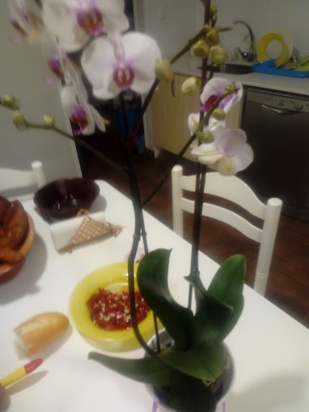 Floristería Gloria